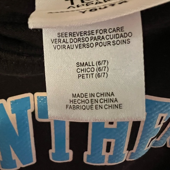 Panthers Black Hoodie - Picture 3 of 3